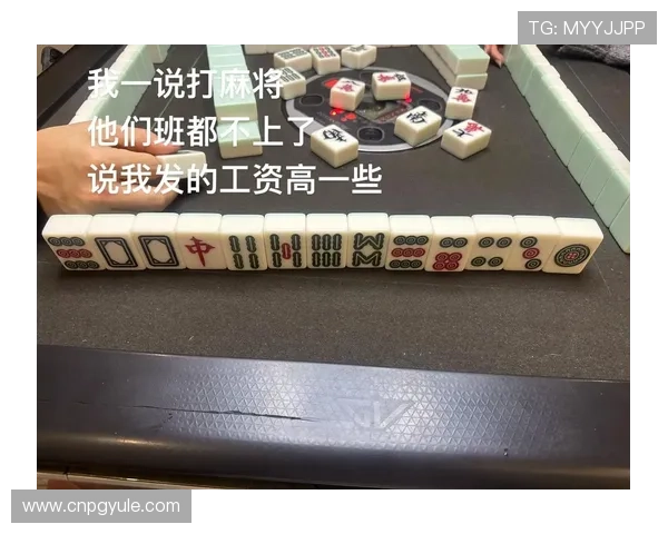 PG网站“麻将糊了”事件折射出网络赌博行业的复杂与风险，亟待加强监管